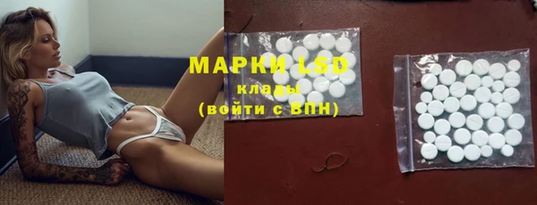 мяу мяу мука Аркадак