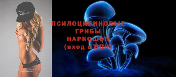 a pvp Алзамай