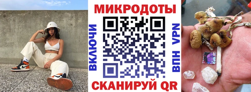 Галлюциногенные грибы Psilocybine cubensis  Приморск 